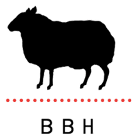 BBH Global champions logo